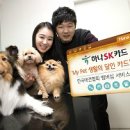 마이펫30(My Pet 30)) 이미지