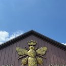 동곡로185번길 이미지