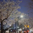 장자대로 이미지