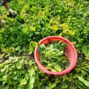 유니콘농장 이미지