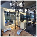 케이나인 트레이닝 센터 | 강남구청 pt 무브먼트 케이 재활운동 중심 1:1 맞춤 트레이닝 후기
