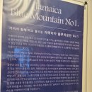 정민수농장 | 춘천 카페 갈만한곳, 월송유로베이커리