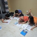 오션트리 이미지