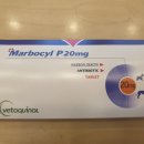 대현동물약국 이미지