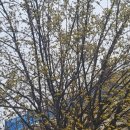 건국여성경로당 이미지