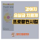 가장큰동물약국 | 반려견 요실금 프로팔린 시럽_청주 동물약국, 청주가장큰약국