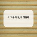 열린이사랑치과의원 이미지