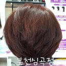 큐사랑머리염색 이미지
