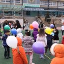 기린초등학교병설유치원 이미지