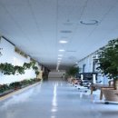 청우한방병원 이미지