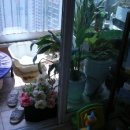 성현동-4 이미지