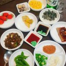 날으는산오징어 이미지