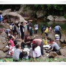 쌍계초등학교 이미지