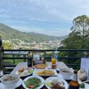 [푸켓 빠통 맛집] ‘No.6 Restaurant Up The Hill’ - 뷰맛집 분위기 좋은 넘버식스 2호점 메뉴추천...