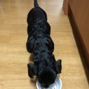 자인계정숲 이미지