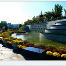 대전유림공원 국화축제 이미지
