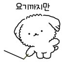 띠롤리케이크(DDIROLLY CAKE) 이미지