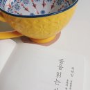 숲을향한시선 | 숲을 읽는 사람 서평 자연 에세이 추천 식물분류학자 허태임이 기록한 숲과 생명의 이야기