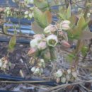 우리농원 이미지