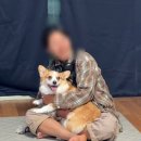 트레인하드 | 3. Sydney (完 ) - 서울쥐도 안 돼.. 시골쥐도 안 돼.. 부산쥐정도는 가능할 듯