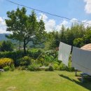 살구나무 한옥민박 이미지