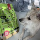 에코텍 | 강아지사료추천 영양가득한 에코텍 에코딜라이트 저온로스팅 사료