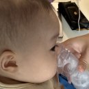 (주)씨스페이시스 수원빈센트점 | 수원 동탄 RSV 예방접종 베이포투스 가격 후기 (수원 성빈센트병원)