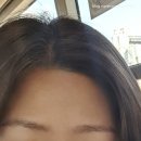 스칼프디자인센터 홍대점 이미지