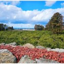 달노시 스테이 이미지