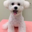 순독살롱 이미지