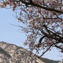 교대역  13번출구 뒤 2 이미지