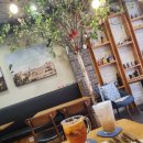 뉴코아사거리 이미지