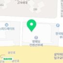 영스포렉스 이미지