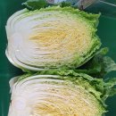 달뜨락마을 네이버블로그