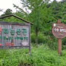 수동마을 Daum카페