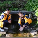 고운농장 이미지