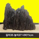 월석
