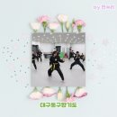 백인관합기도 | 대구동구합기도 합기도백인관 즐겁게 신나게 운동해보세요