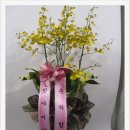 반야어린이집 이미지