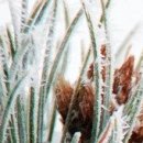 광안마린소아청소년과의원 이미지