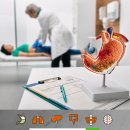 위메디투어 네이버블로그