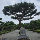 부소산성, 궁남지연꽃(2026.7.10.금) 산과산 이미지