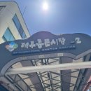 제주도 여행 동문시장 먹거리 오메기떡 블루오렌지 후기 주차장 기념품 선물