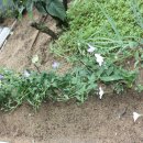 이화농장 이미지