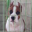 지패밀리 이미지