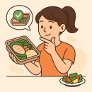 다이어트 도시락 추천, 실패 없는 선택법 총정리!