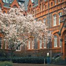 최선재테크공인중개사사무소 이미지