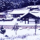 빙월당 Daum카페