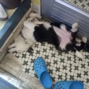 남성마을 이미지