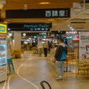 삼성종합카인테리어 | 원정) 당일치기 일정정리 : 김포에서 제주까지 K리그 승강플레이오프2차전, 렌트카, 식사 그날의 일정 정리